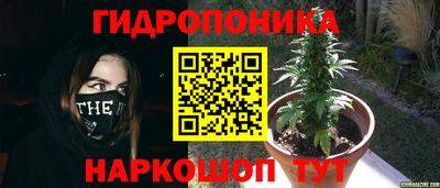 a pvp Партизанск
