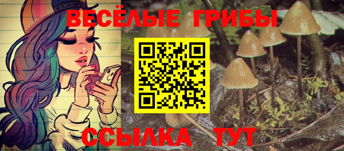 Стрежевой  Галлюциногенные грибы мицелий  продажа наркотиков  Вход с VPN 